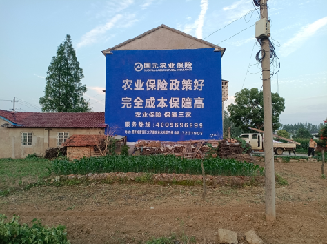 红河墙体广告为何受追捧？